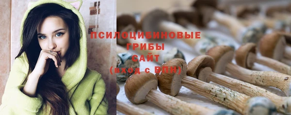 первитин Наволоки